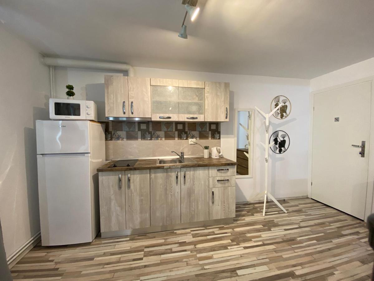 Urseni Studio Apartment Timişoara Exterior foto